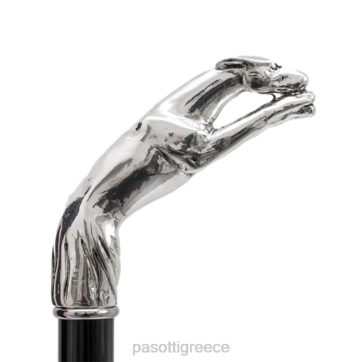 ομπρέλα | PASOTTI 478 50890-5 w10 - ασημένια ομπρέλα λαγωνικού 2N6B817 άνδρες